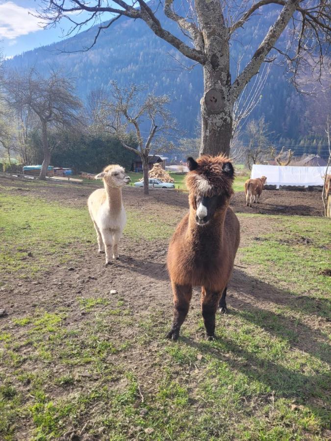 Ferienwohnung Biohof Untermar Obervellach Dış mekan fotoğraf