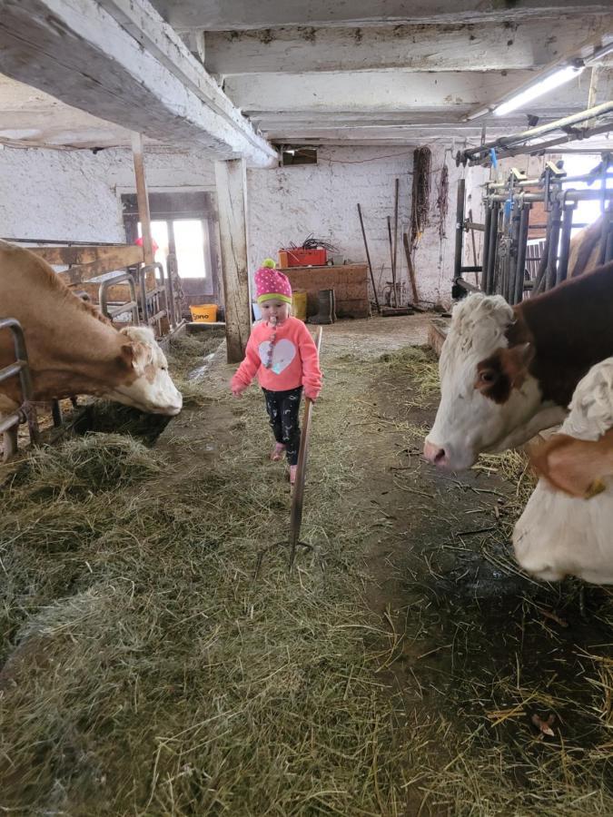 Ferienwohnung Biohof Untermar Obervellach Dış mekan fotoğraf