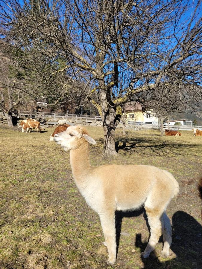 Ferienwohnung Biohof Untermar Obervellach Dış mekan fotoğraf